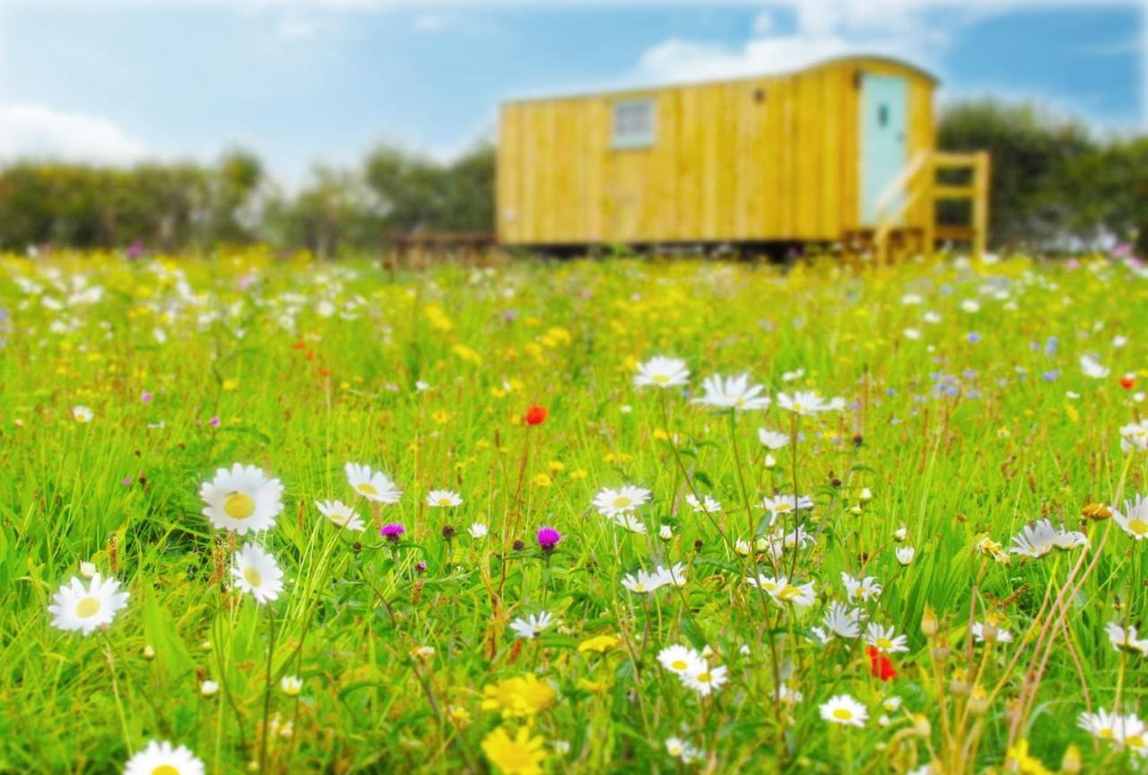 Honeysuckle Farm Holidays By Stay In Suffolk, Monk Soham Woodbridge Dış mekan fotoğraf